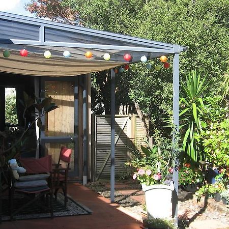 Kotuku Bed & Breakfast Whangamata Extérieur photo
